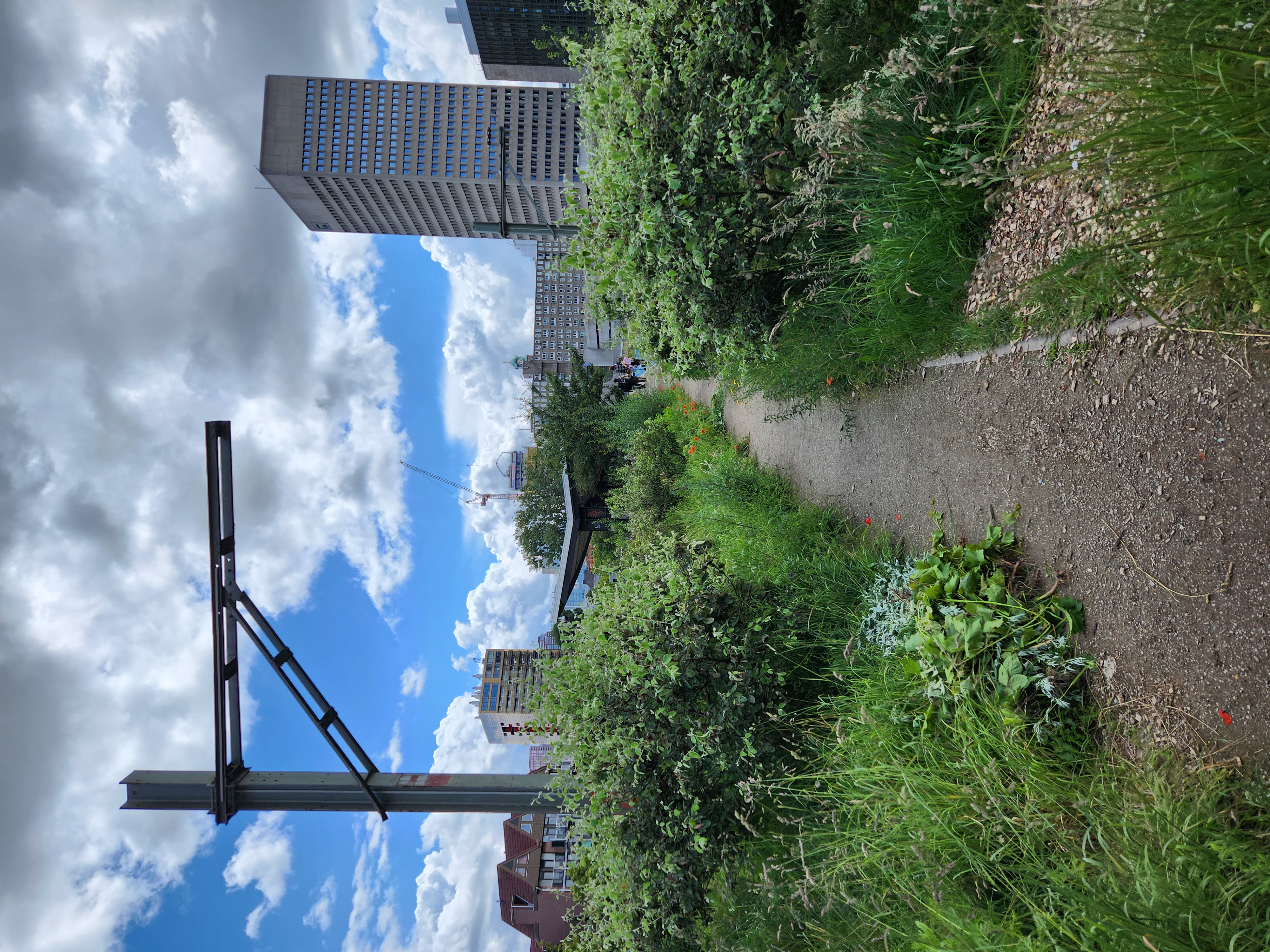 Luchtsingel, a highline style allotment garden on an old rail line, you can see the catenary pole in the foreground